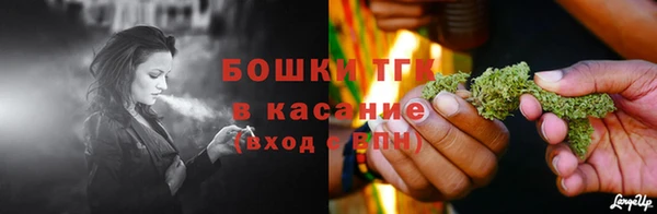 СК Михайловск