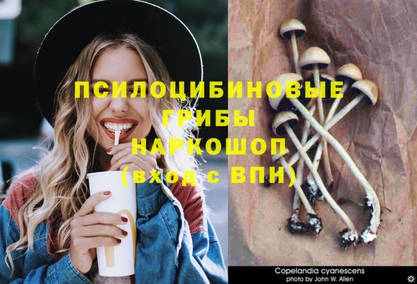 СК Михайловск
