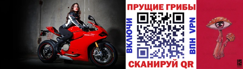 Галлюциногенные грибы Cubensis сколько стоит Южно-Сухокумск